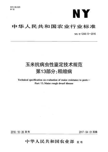 NY/T 1248.13-2016玉米抗病蟲性鑒定技術(shù)規(guī)范  第13部分:粗縮病