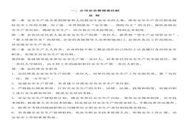 安全監(jiān)理手冊docx