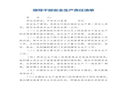 領(lǐng)導(dǎo)干部安全生產(chǎn)責(zé)任清單docx