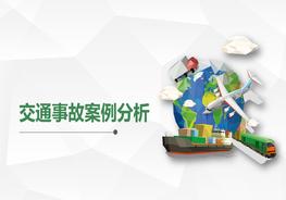 交通事故案例分析pptx