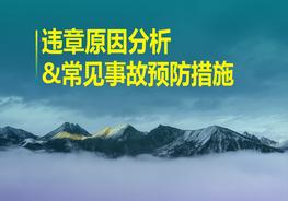 D20210819違章原因分析與常見(jiàn)事故預(yù)防措施pptx