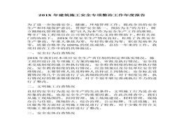 安全專項(xiàng)整治工作年度報(bào)告(1)docx