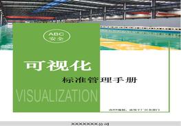 可視化標準安全管理手冊pptx