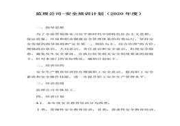 計劃（2020年度）(1)(1)docx