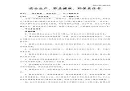 全總監(jiān)責(zé)任書docx