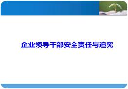 企業(yè)領導干部的安全責任、事故責任追究、處罰培訓、案例分析pptx