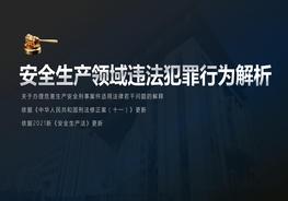 安全生產(chǎn)領(lǐng)域違法犯罪解析pptx