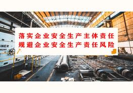 規(guī)避企業(yè)安全生產(chǎn)責(zé)任風(fēng)險(xiǎn)（102頁）pptx
