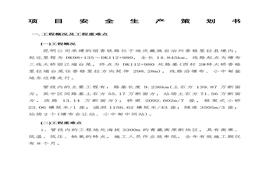 項(xiàng)目安全生產(chǎn)策劃書docx