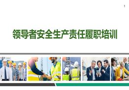 S20210613領導者安全生產(chǎn)責任履職培訓pptx