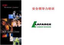 20200608杜邦拉美地區(qū)安全領(lǐng)導(dǎo)力培訓(xùn)ppt