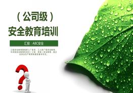 公司級企業(yè)新員工入職培訓(xùn)pptx