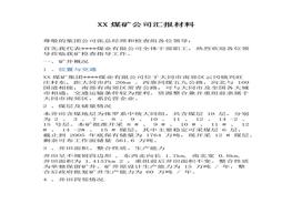 料（9頁(yè)）(1)docx