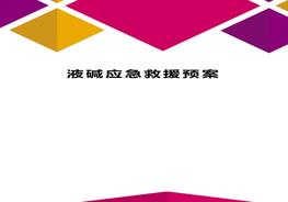 液堿應(yīng)急救援預(yù)案精編版docx