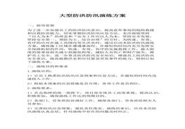 大型防洪防汛演練方案docx