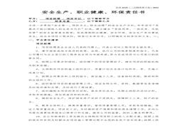 務總監(jiān)責任書docx