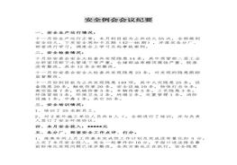 安全例會(huì)會(huì)議紀(jì)要模板（11頁(yè)）docx