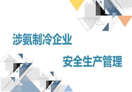 涉氨制冷企業(yè)安全管理pptx