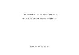 職業(yè)病危害風(fēng)險分級報告(2)doc