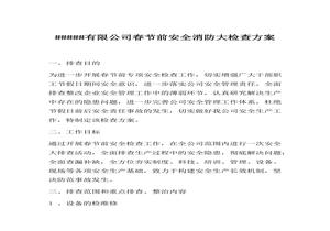 XX公司春節(jié)前安全消防大檢查方案docx