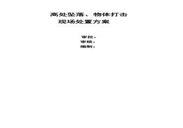 高處墜落、物體打擊現(xiàn)場(chǎng)處置方案doc
