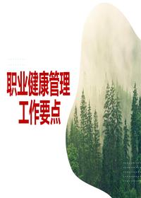 職業(yè)健康管理工作要點(diǎn)（29頁(yè)）pptx