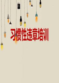 習慣性違章培訓（40頁）pptx