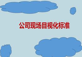公司現(xiàn)場目視化標(biāo)準(zhǔn)pptx