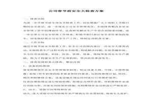 公司春節(jié)前安全大檢查方案docx