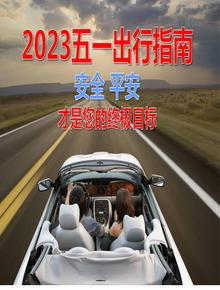五一節(jié)節(jié)安全出行培訓(xùn)指南pptx