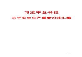 習(xí)近平總書記安全生產(chǎn)重要論述匯編docx