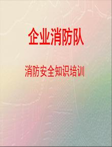 企業(yè)消防隊(duì)消防安全培訓(xùn)課件ppt