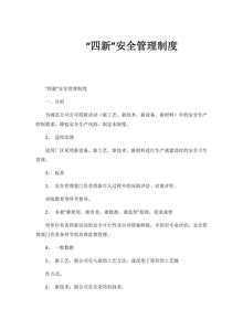 “四新”安全管理制度docx