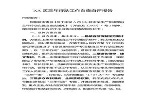 安全生產(chǎn)專項(xiàng)整治三年行動(dòng)工作自查自評(píng)報(bào)告docx