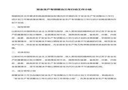 安全生產(chǎn)專項整治三年行動工作小結(jié)docx