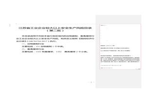 江蘇省工業(yè)企業(yè)較大以上安全生產(chǎn)風險目錄（第二批）doc