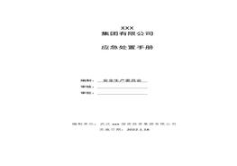 應(yīng)急處置手冊docx