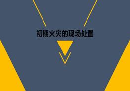初期火災(zāi)的現(xiàn)場處置pptx