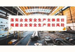 落實企業(yè)安全生產(chǎn)主體責(zé)任制專題培訓(xùn)（102頁）pptx