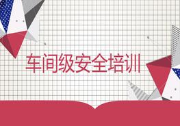 車(chē)間級(jí)安全培訓(xùn)pptx