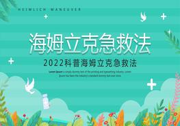 BC安全海姆立克急救法pptx