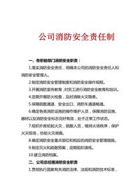 有限責(zé)任公司消防安全責(zé)任制docx