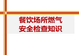 餐飲場(chǎng)所燃?xì)獍踩珯z查知識(shí)（60頁(yè)）pptx