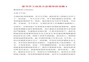 春節(jié)開工動員大會領導講話稿docx