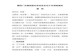 危險化學(xué)品安全生產(chǎn)專項檢查工作docx