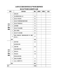 文化娛樂場所安全生產(chǎn)標(biāo)準(zhǔn)化基本標(biāo)準(zhǔn)docx