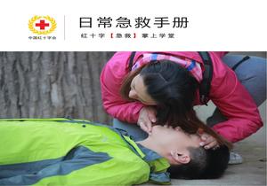 中國紅十字會日常急救手冊pptx
