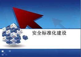 三級(jí)安全標(biāo)準(zhǔn)化培訓(xùn)pptx