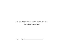 公司級(jí)檢查表doc