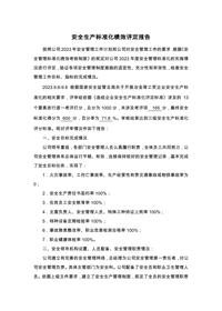 安全生產(chǎn)標(biāo)準(zhǔn)化績(jī)效評(píng)定報(bào)告docx